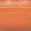 Intratuin Pflanzschale Gijsbert orange D 30 H 9 cm