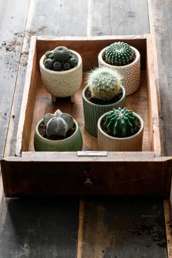 Intratuin Pflanzschale mit Fuß Loan creme D 11 H 13 cm