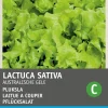 Intratuin Pflücksalat (Lactuca sativa 'Australischer Gelber') Samen
