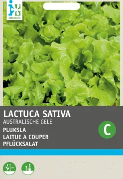 Intratuin Pflücksalat (Lactuca sativa 'Australischer Gelber') Samen