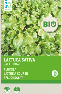 Intratuin Pflücksalat (Lactuca sativa 'Salad Bowl') (BIO) Samen