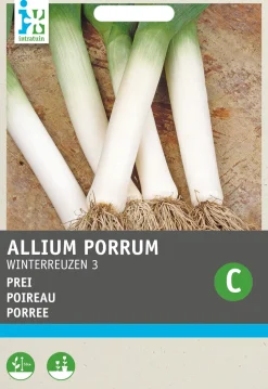 Intratuin Porree (Allium porrum 'Winterriesen') Samen
