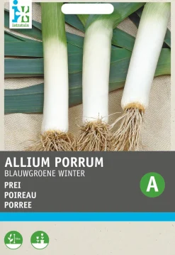 Intratuin Porree (Allium porrum 'Blaugrüner Winter') Samen