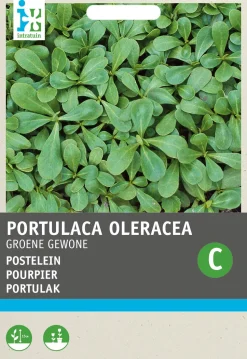 Intratuin Portulak (Portulaca oleracea 'Grüner') Samen