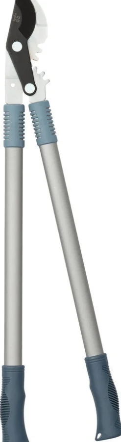 Intratuin Premium Astschere Aluminium blau/silber