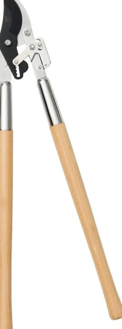 Intratuin Premium Astschere mit Bambus-Griffen