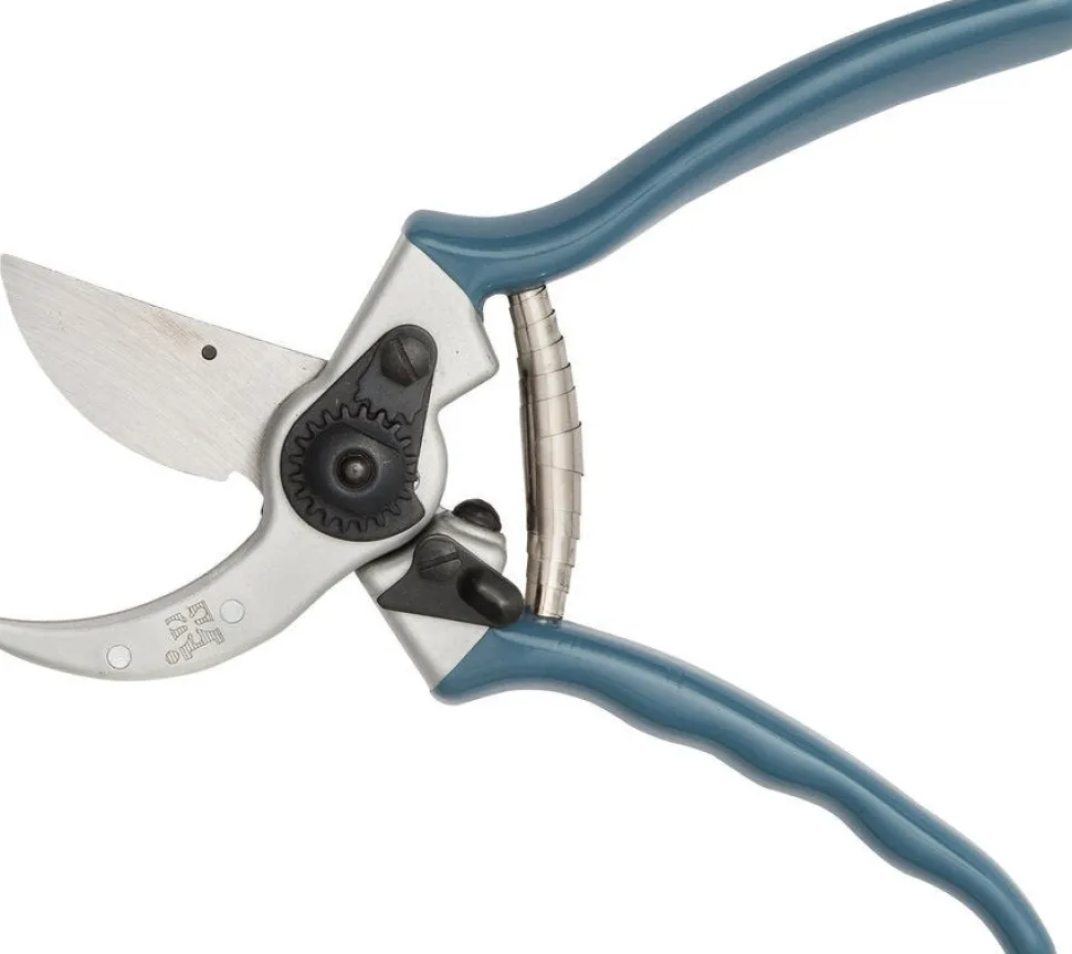 Intratuin Premium Gartenschere silber/blau