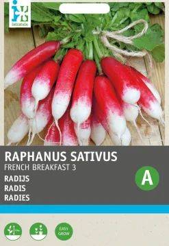 Intratuin Radies (Raphanus sativus 'French Breakfast') Samen