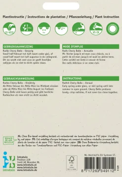 Intratuin Radieschen (Raphanus sativus 'Cherry Belle') Samen