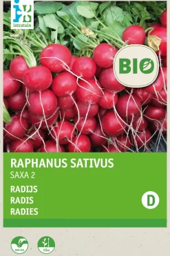 Intratuin Radieschen (Raphanus sativus 'Saxa') (BIO) Samen