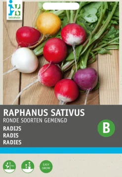 Intratuin Radieschen rund gemischt (Raphanus sativus) Samen