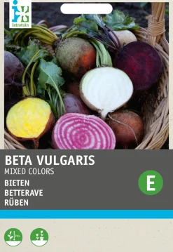 Intratuin Rüben "4 Farbenmischung" (Beta vulgares) Samen