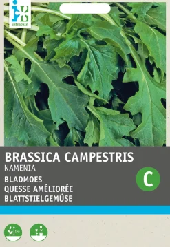 Intratuin Rübstiel (Brassica rapa 'Namenia') Samen