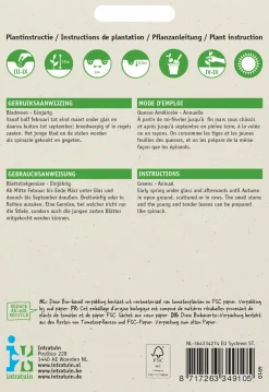 Intratuin Rübstiel (Brassica rapa 'Namenia') Samen