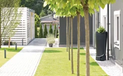 Intratuin Regentonne Tube 230 l anthrazit