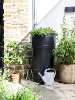 Intratuin Regentonne Tube 230 l anthrazit