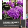 Intratuin Rhododendronerde 15 l