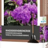Intratuin Rhododendronerde 45 l