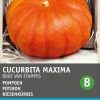 Intratuin Riesenkürbis (Cucurbita maxima 'Roter von Etampes') Samen