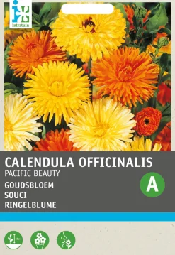 Intratuin Ringelblume (Calendula officinalis 'Pacific Beauty') Blumensamen-Mischung