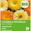 Intratuin Ringelblume (Calendula officinalis 'Ball's Orange') (BIO) Blumensamen