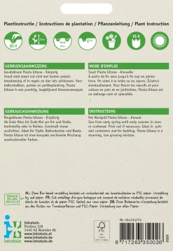 Intratuin Ringelblume (Calendula officinalis 'Fiesta Gitana') Blumensamen-Mischung