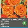 Intratuin Ringelblume (Calendula officinalis 'Ball's Orange') Blumensamen