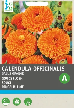 Intratuin Ringelblume (Calendula officinalis 'Ball's Orange') Blumensamen