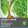 Intratuin Romana-Salat Mini (Lactuca sativa 'Mini Romana') Samen