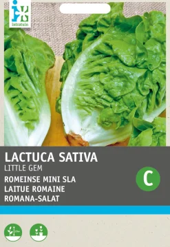 Intratuin Romana-Salat Mini (Lactuca sativa 'Mini Romana') Samen