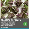 Intratuin Rosenkohl (Brassica oleracea 'Kalettes Garden Mix F1') Samen