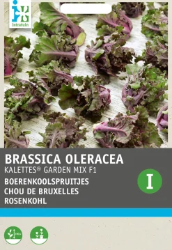 Intratuin Rosenkohl (Brassica oleracea 'Kalettes Garden Mix F1') Samen