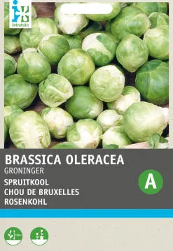 Intratuin Rosenkohl (Brassica oleracea 'Groninger') Samen
