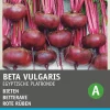 Intratuin Rote Bete (Beta vulgaris 'Ägyptische Plattrunde') Samen