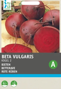 Intratuin Rote Bete (Beta vulgaris 'Rote Kugel 2') Samen