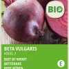 Intratuin Rote Bete (Beta vulgaris 'Detroit 2') (BIO) Samen