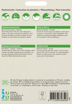Intratuin Rote Bete lang (Beta vulgaris 'Cylindra') Samen
