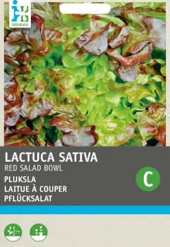 Intratuin Roter Eichblattsalat (Lactuca sativa 'Foliosa') Samen