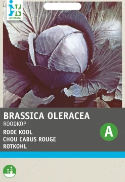 Intratuin Rotkohl (Brassica oleracea 'Schwarzkopf') Samen
