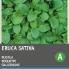 Intratuin Rucola (Eruca sativa 'Coltivata') Samen