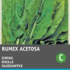 Intratuin Sauerampfer (Rumex acetosa) Samen