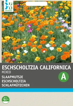 Intratuin Schlafmützchen (Eschscholtzia californica) Blumensamen-Mischung