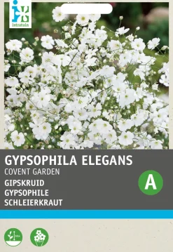 Intratuin Schleierkraut weiß (Gypsophila elegans 'Covent Garden') Blumensamen