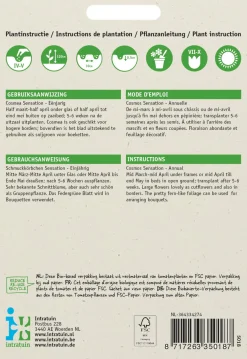 Intratuin Schmuckkörbchen (Cosmos bipinnatus 'Sensation') Blumensamen