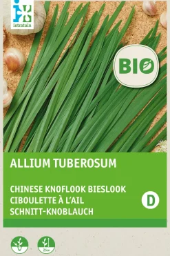 Intratuin Schnittknoblauch (Allium tuberosum) (BIO) Samen