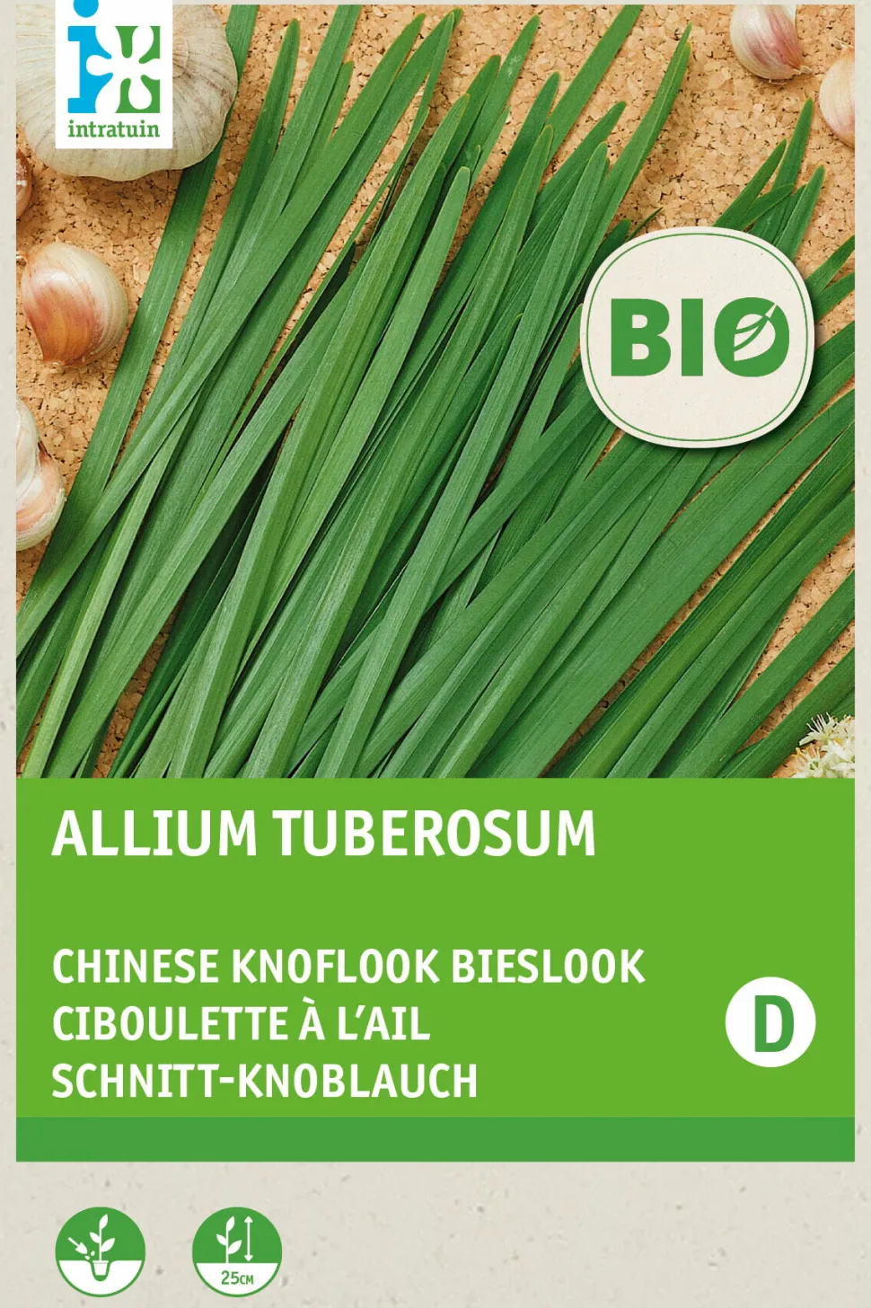 Intratuin Schnittknoblauch (Allium tuberosum) (BIO) Samen