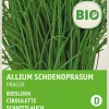 Intratuin Schnittlauch (Allium schoenoprasum 'Prager') (BIO) Samen