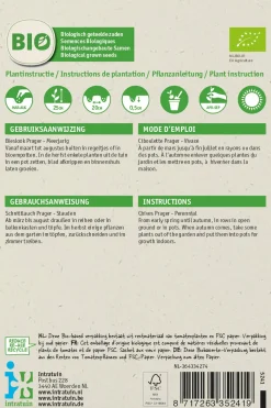 Intratuin Schnittlauch (Allium schoenoprasum 'Prager') (BIO) Samen