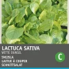 Intratuin Schnittsalat (Latuca sativa) Samen