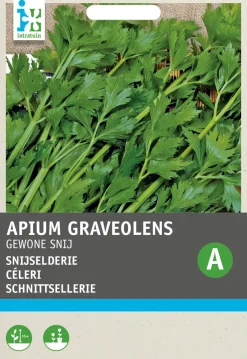 Intratuin Schnittsellerie (Apium graveolens) Samen